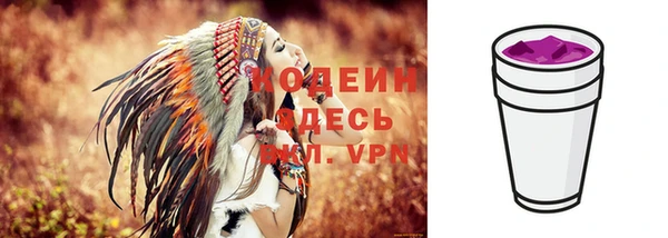 индика Богородицк