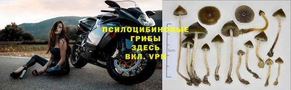 метадон Богородск