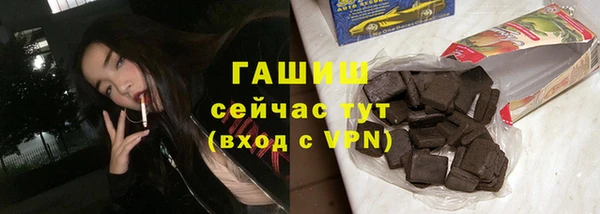 индика Богородицк