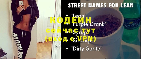 индика Богородицк