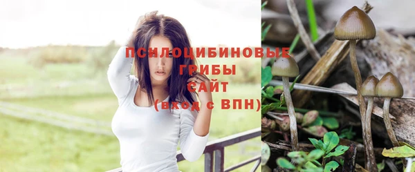 винт Армянск