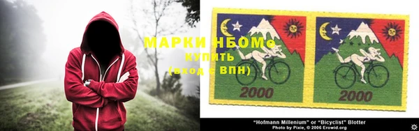 индика Богородицк