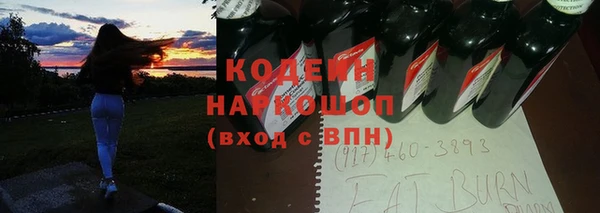 индика Богородицк