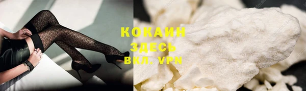 индика Богородицк