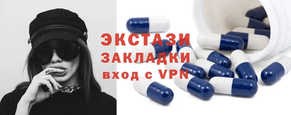 индика Богородицк