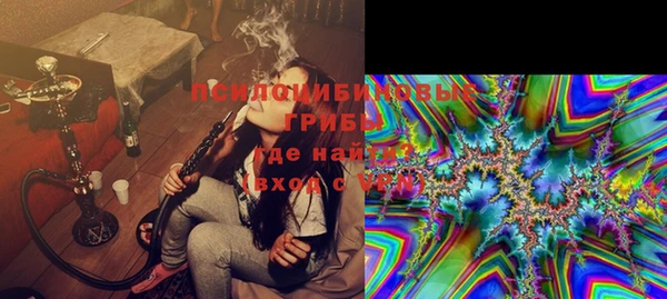 индика Богородицк