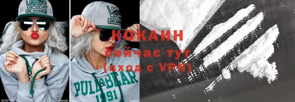 дживик Аркадак
